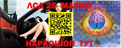 наркотики Сланцы