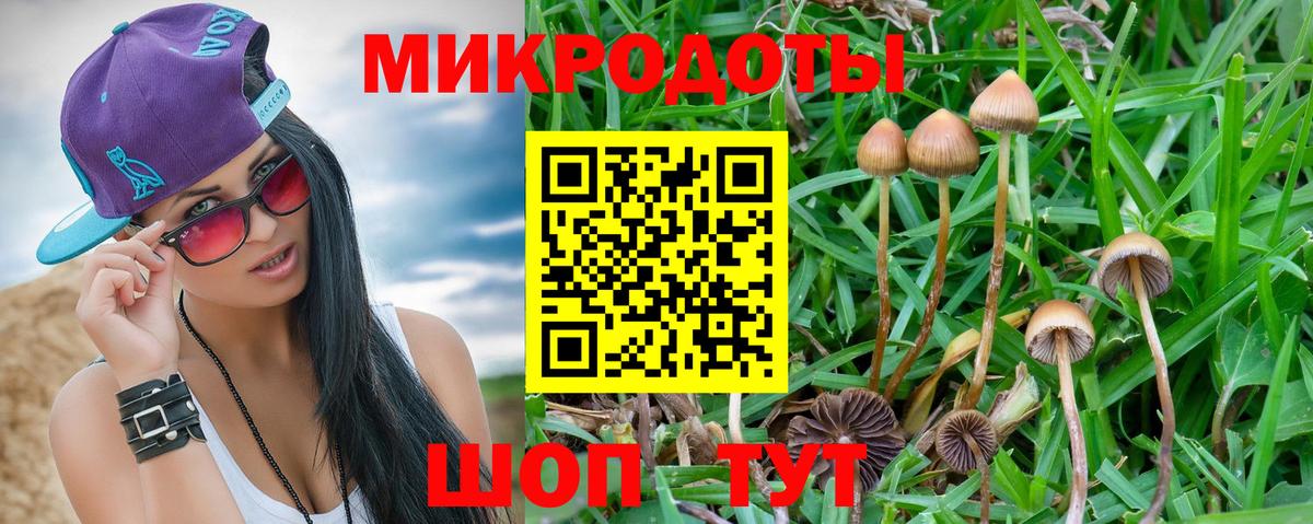 Псилоцибиновые грибы Psilocybe  Вход с VPN  Галлюциногенные грибы GOLDEN TEACHER  Воткинск 